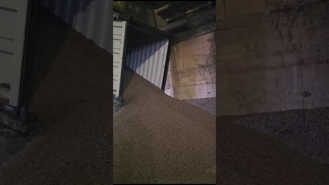 Видео: контейнеровоз с самосвальным шасси в Темрюке